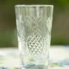 Pineapple Drinking Glass Set of 4